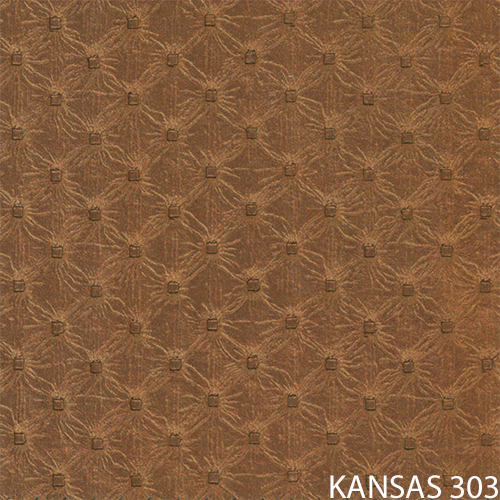 kansas 303_popis